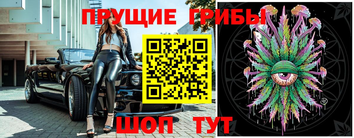 Алейск  Псилоцибиновые грибы Psilocybe  Вход с VPN 